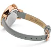 WATCH DAISY DIXON WOMEN DD083ERG (36MM)