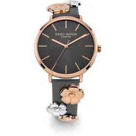WATCH DAISY DIXON WOMEN DD160ERG (38MM)