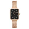 WATCH DANIEL WELLINGTON WOMEN DW00100579 (26MM)