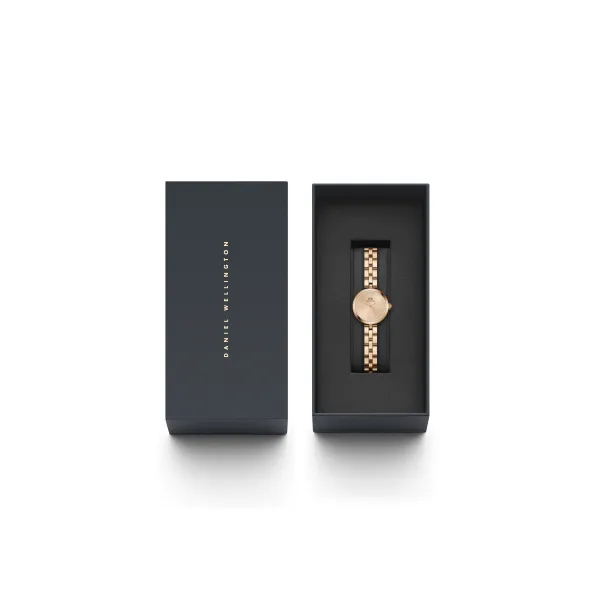WATCH DANIEL WELLINGTON WOMEN DW00100720 (22MM)