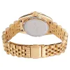 WATCH PIERRE CARDIN WOMEN CF.1012.MG.2 (28MM)