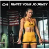 C4 Original, фруктовый пунш - 408 г
