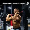 C4 Original, фруктовый пунш - 408 г