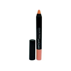 Lauvärvid Postquam Color Trend Nº 10 Pastel Camel 10 g Stick