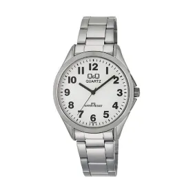 Vīriešu Pulkstenis Q&Q C192J204Y Sudrabains (Ø 38 mm)