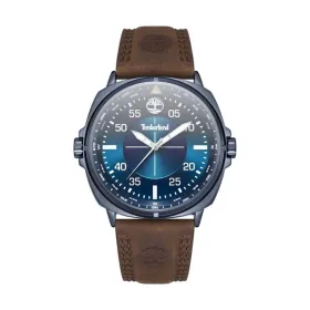Мужские часы Timberland TDWGA2132001
