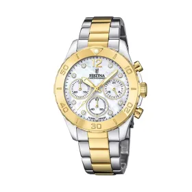 Мужские часы Festina F20604/1