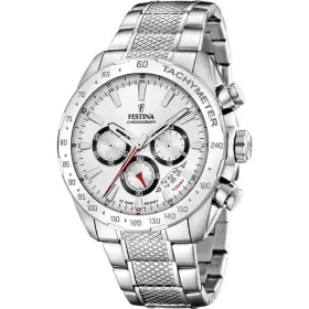 Laikrodis vyrams Festina F20668/1