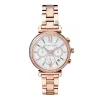 WATCH MICHAEL KORS WOMEN MK6576 (39MM)