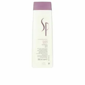 Kõõmavastane šampoon Wella 250 ml