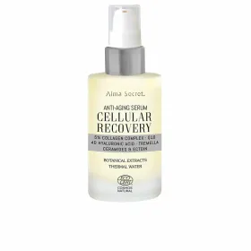Victoria`s Secret Bare Vanilla Bliss Body Mist 250ml