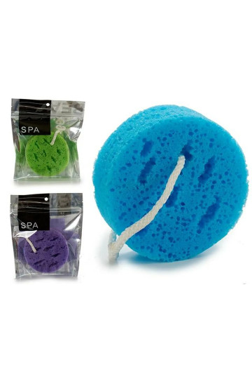 Body Sponge