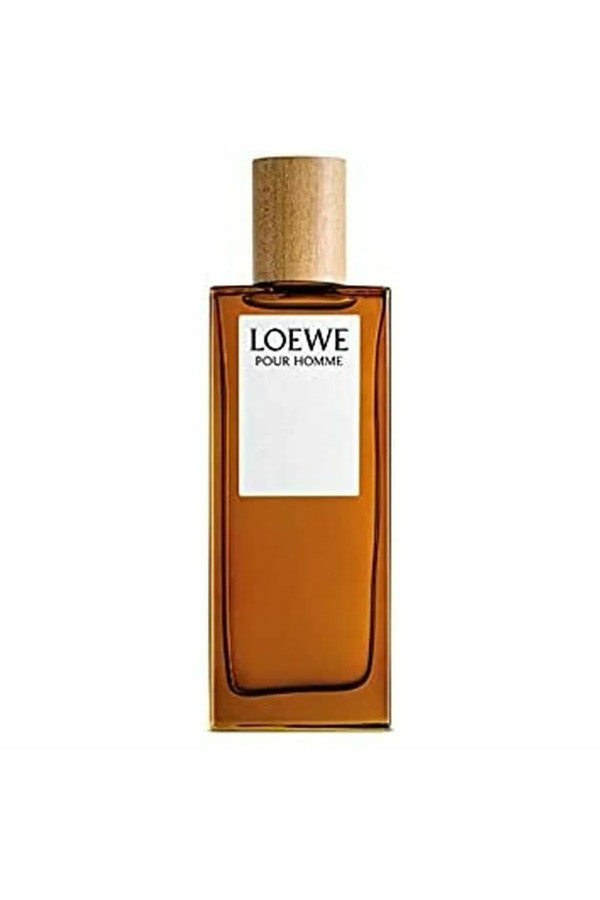 Men's Perfume Loewe EDT 100 ml