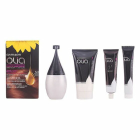 Permanent Dye Garnier 1118-34772 5,3 - Capuccino (1 Unit)