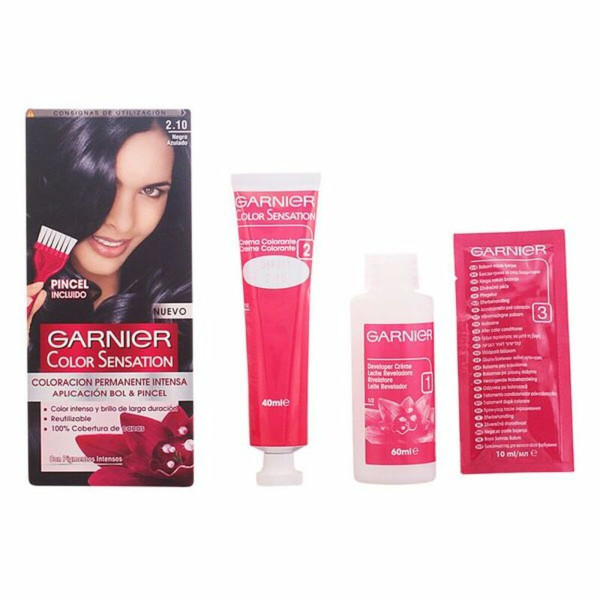 Permanent Dye Garnier Color Sensation 110 g