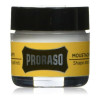 Moulding Wax Proraso Wood And Spice 15 ml Moustache