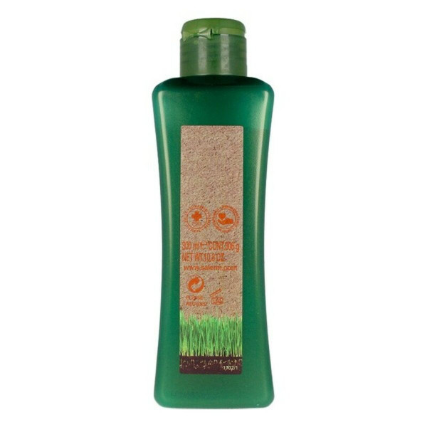 Shampoo Colour Reinforcement Salerm Biokera Natura 300 ml