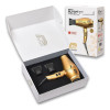 Hairdryer Parlux ALYIT_OX3