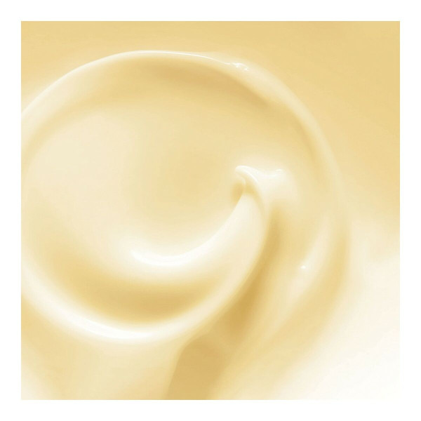 Restorative Hair Mask Orofluido 7261040000 500 ml