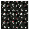 Hygienic Reusable Fabric Mask 6-9 years Pirate