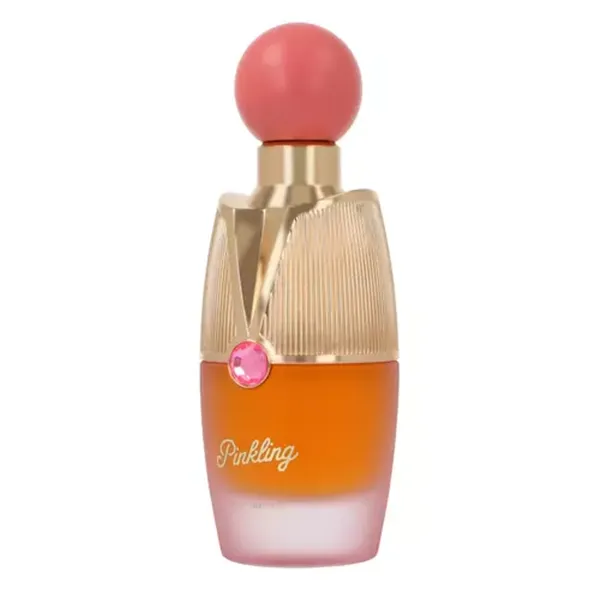 Paris Corner Pinkling Edp 100ml