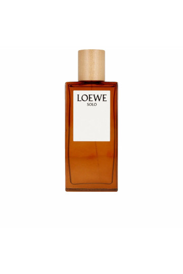 Men's Perfume Loewe (100 ml)