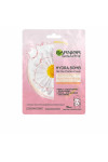 Facial Mask    Garnier Skinactive Hydrabomb   