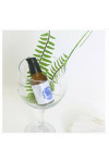 Anti-Ageing Serum All Natural ANBLES 130 g