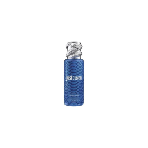 Roberto Cavalli Rc Just Cavalli Mist Blue 250ml