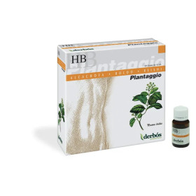 Dherbos Plantaggio Hb 20 Viales