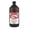 Moisturizing Shampoo Davines Energizante 1 L