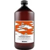 Moisturizing Shampoo Davines Energizante 1 L