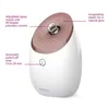 Facial Sauna Medisana DS 600