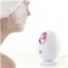 Elektrinė veido sauna Moispa InnovaGoods