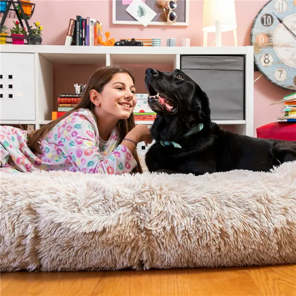 Inimese ja koera voodi | Human Dog Bed XXL InnovaGoods Beige