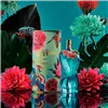 Moterų kvepalai Jean Paul Gaultier La Belle Paradise Garden EDP 30 ml