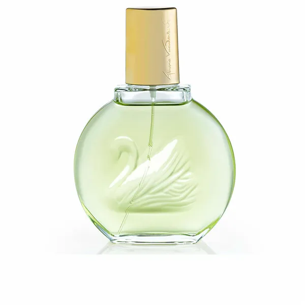 Naisten parfyymi Vanderbilt JARDIN À NEW YORK 100 ml