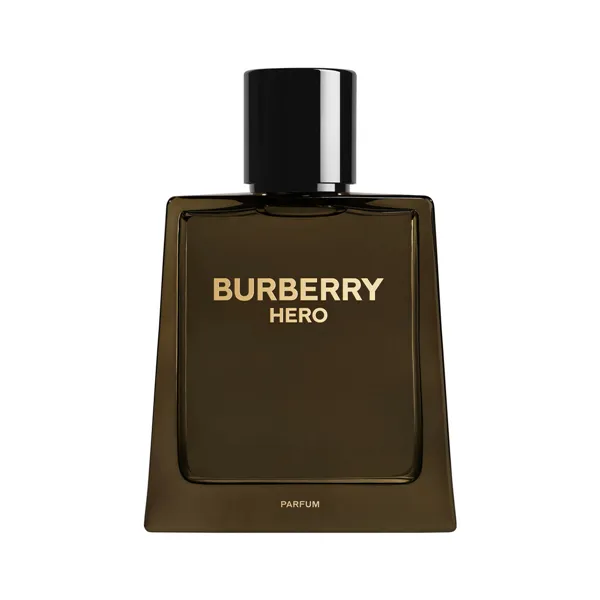 Vyrų kvepalai Burberry BURBERRY HERO 100 ml