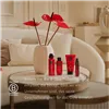 Naisten kosmetiikkasetti Rituals THE RITUAL OF AYURVEDA 4 Kappaletta