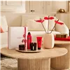 Kylpysetti Rituals THE RITUAL OF AYURVEDA 4 Kappaletta