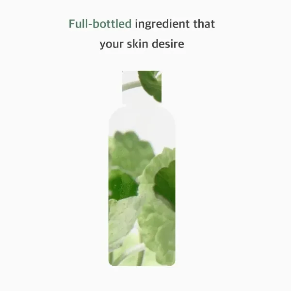 Valantis tonizuojantis tonikas Mixsoon CENTELLA 300 ml
