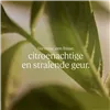Ziepju Kūka L'Occitane En Provence KARITÉ CONFORT 250 g Vībotne