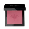 Blush Stendhal MAKE-UP STENDHAL PARIS Nº 303 Rose Marrakech 5,5 g