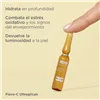 Antioksüdantseerum Isdin Isdinceutics 2 ml