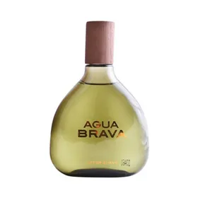 Aftershave Lotion Puig TP-8411061942529_201340_Vendor 200 ml