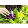 Veido korektorius Opi Nature Strong Achieve Grapeness 15 ml