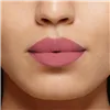 Huulevärv L'Oreal Make Up Color Riche 482-le mauve indomptable Nº 482-Le Mauve Indomptable 26 g (1 Ühikut)