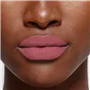 Huulevärv L'Oreal Make Up Color Riche 482-le mauve indomptable Nº 482-Le Mauve Indomptable 26 g (1 Ühikut)