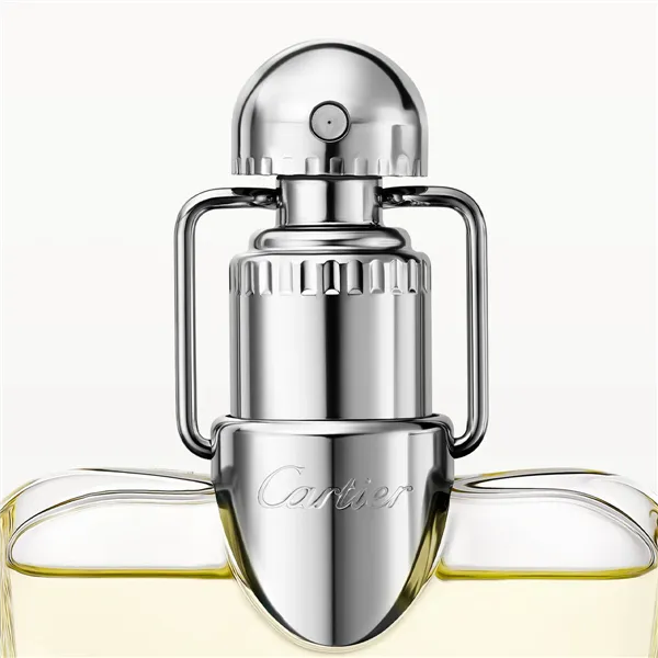 Miesten parfyymi Cartier Déclaration EDT 100 ml
