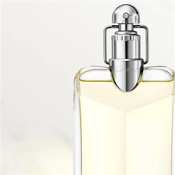 Miesten parfyymi Cartier Déclaration EDT 100 ml
